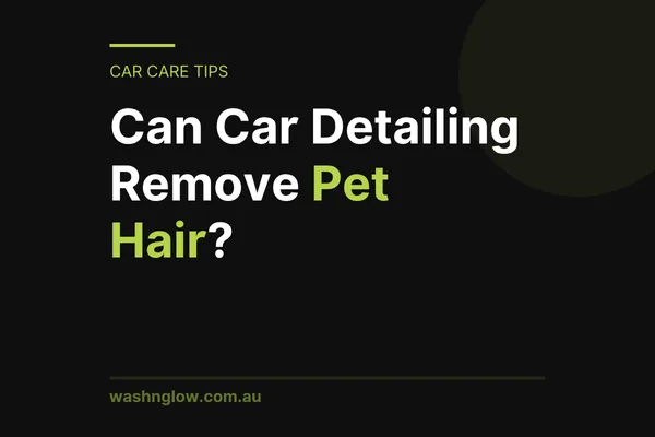 Can Car Detailing Remove Pet Hair? | WashNGlow