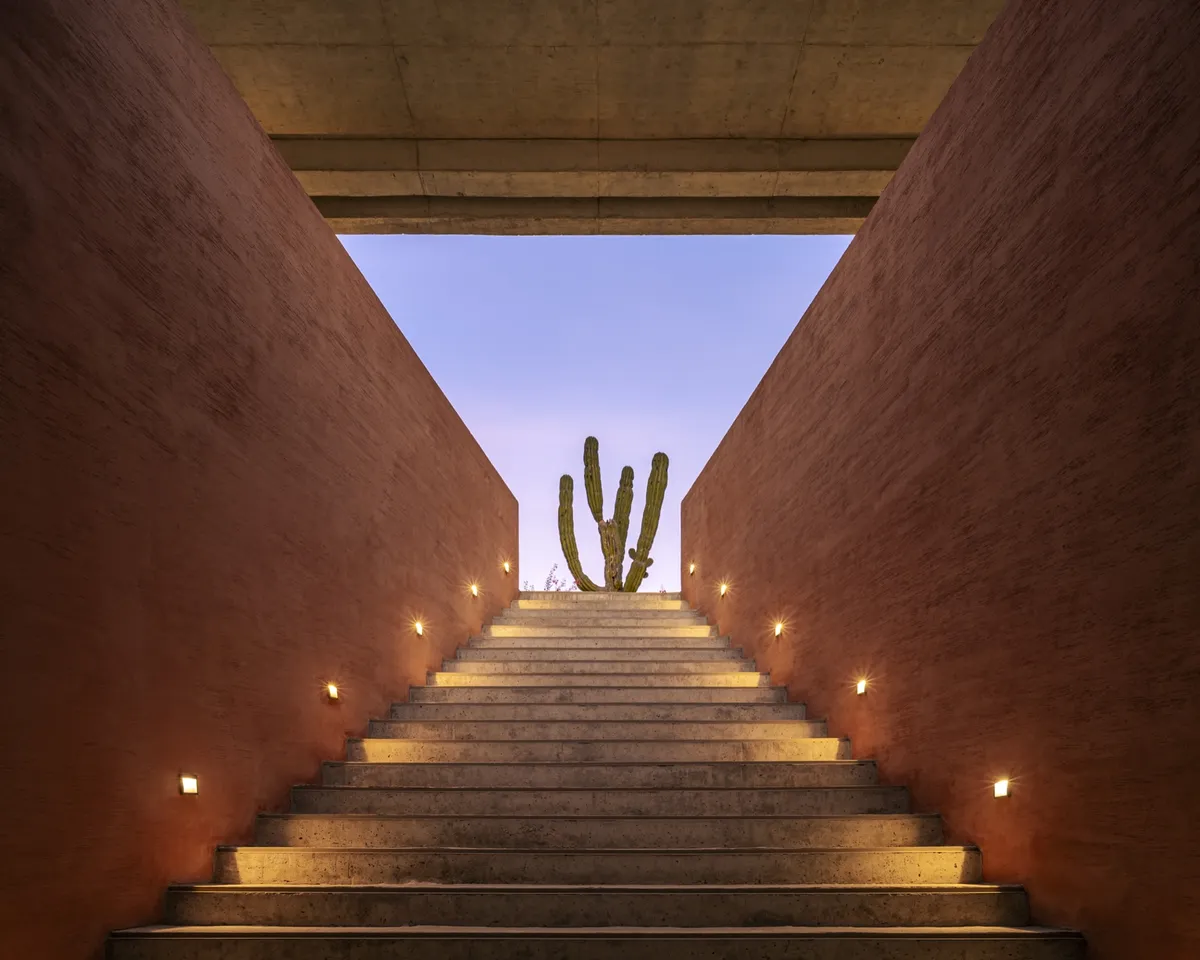 Escalera de concreto terracota que enmarca un cardón al atardecer