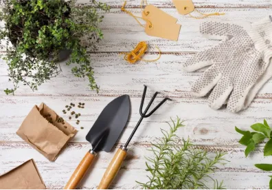 Multiple gardening tools and implements laid out on a white wooden table.