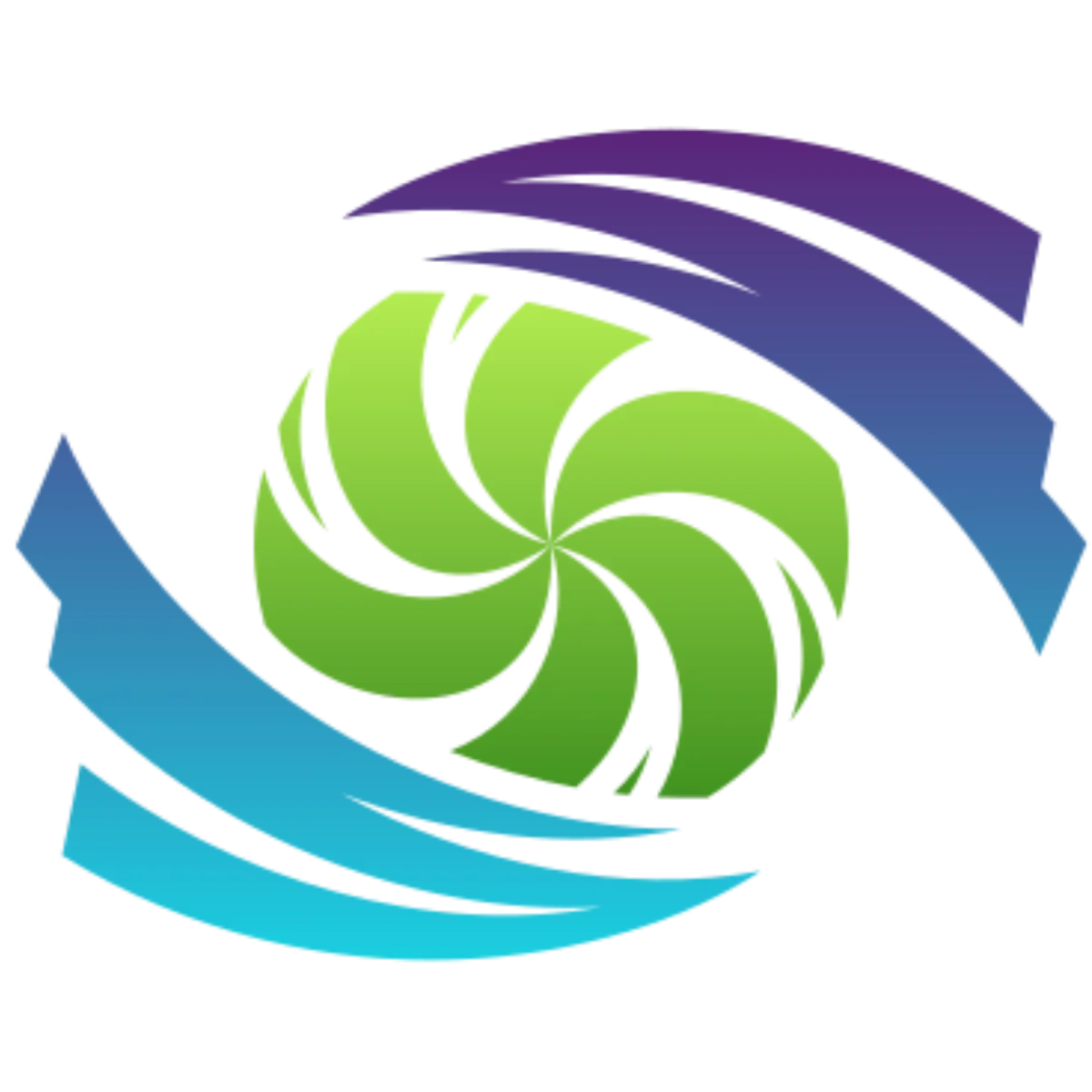 WRLWINDS Logo