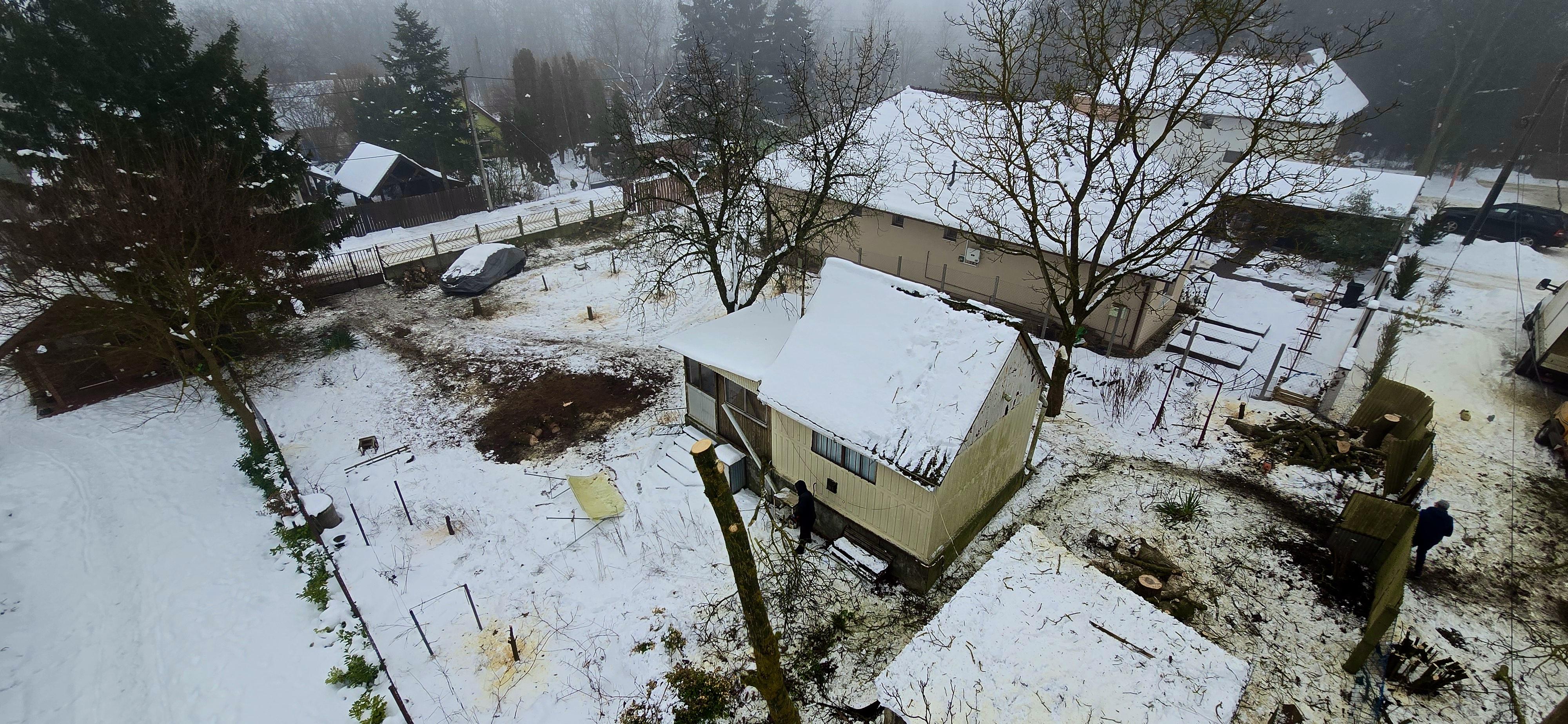 Megtisztított telek, telektisztítás és bozótirtás után, előkészített és rendezett terület
