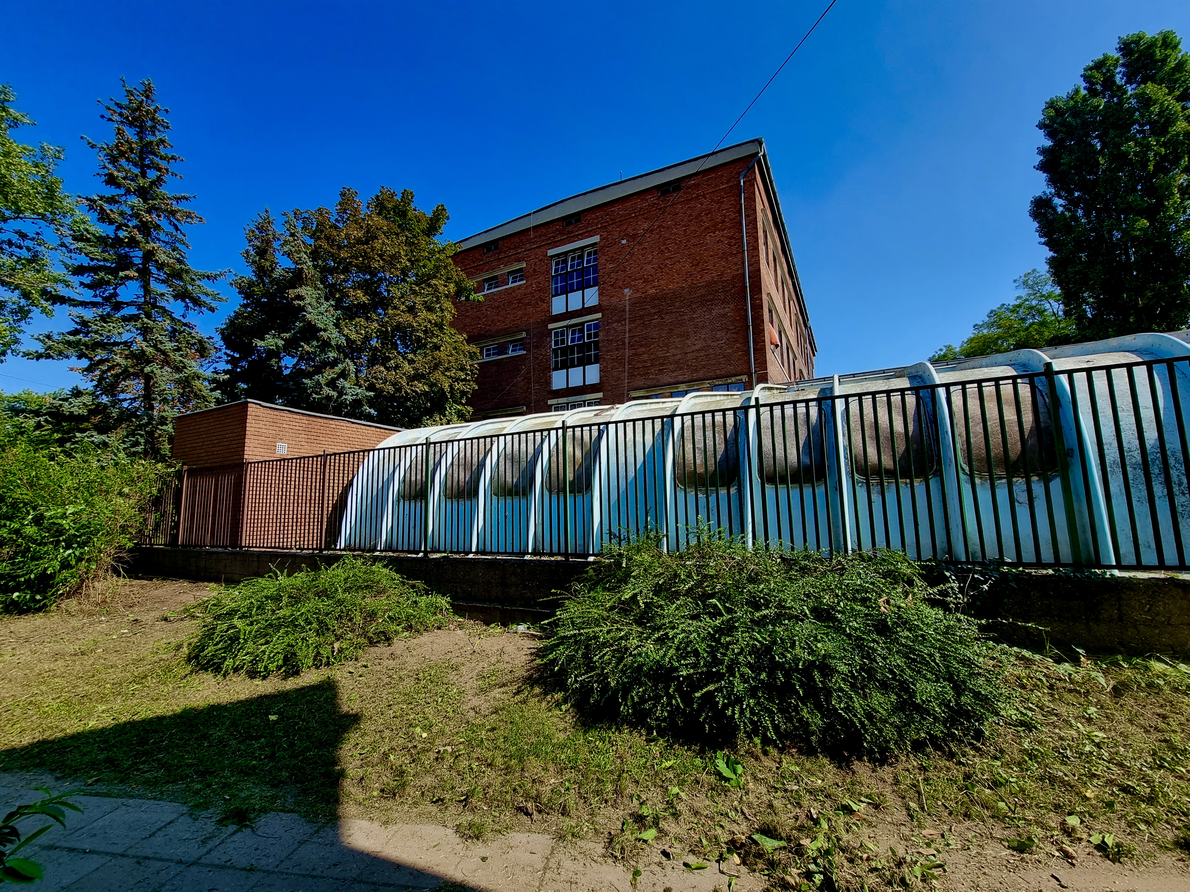 Rendezett kert sövényvágás és teljes kertkarbantartás után, tiszta és ápolt terület 