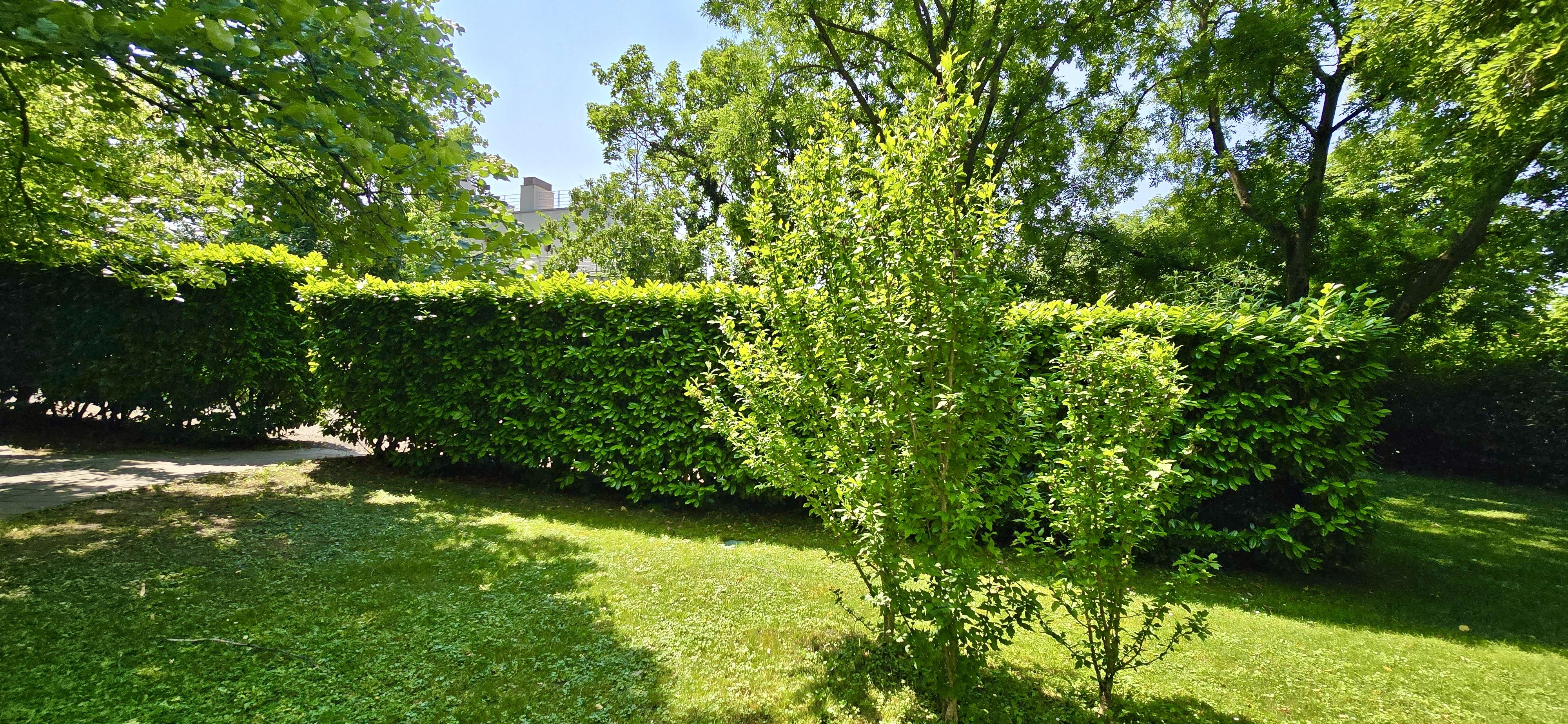 Nagy alapterületű kert rendszeres kertgondozással, nyírt fűvel és ápolt fákkal