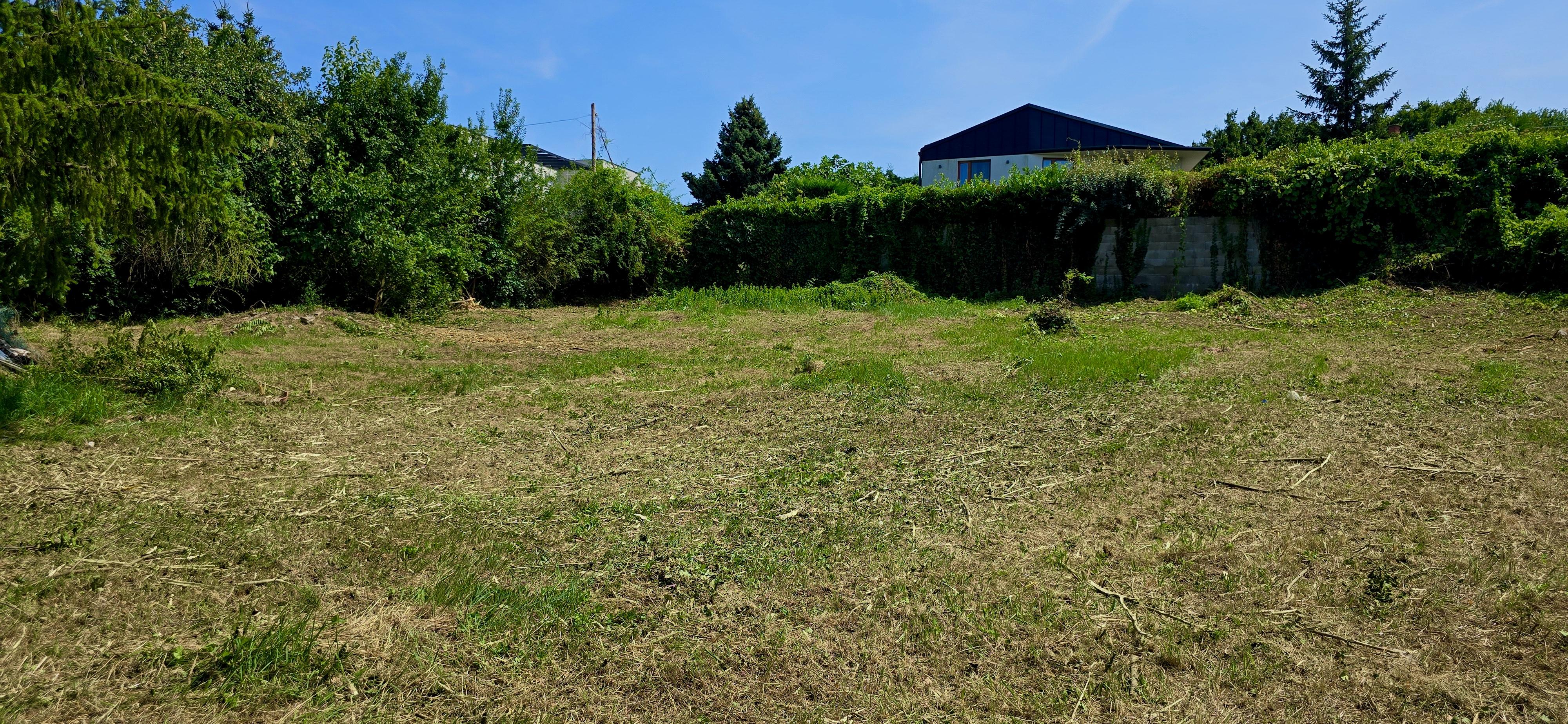 Megtisztított és rendezett telkek bozótirtás és tejes telektisztítás után