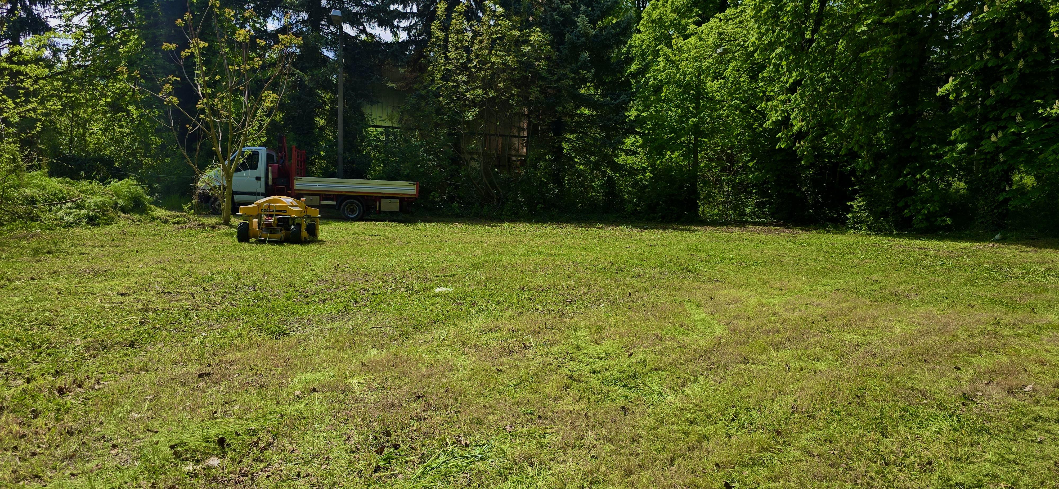 Teljesen megtisztított és sík telek, telektisztítás után, használatra előkészített zöldterület