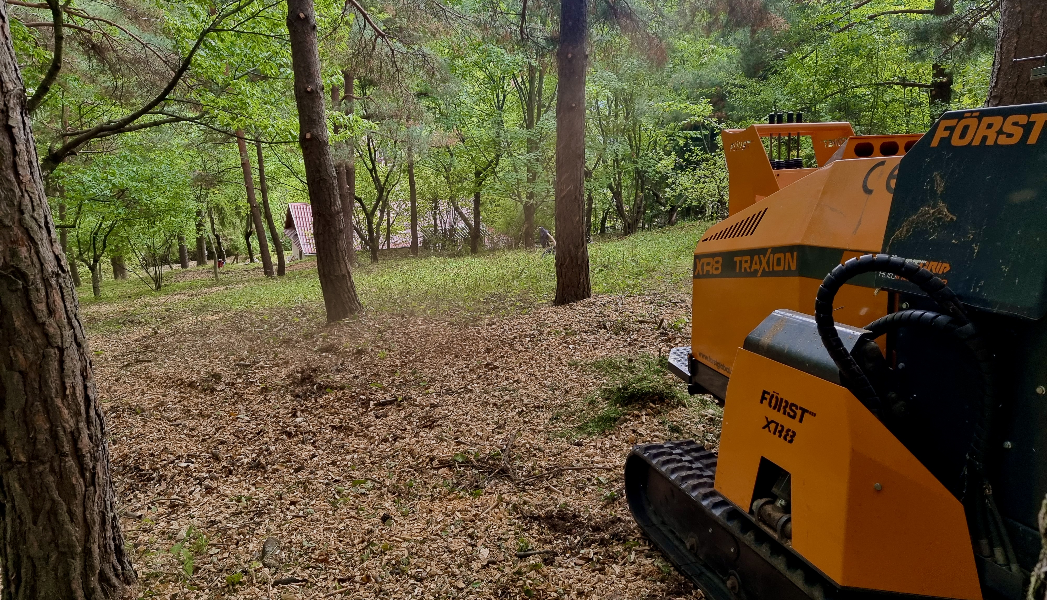 Telekisztíás darálóval erdős területen, sűrű aljnövényzet eltávolítása munkavégzés közben