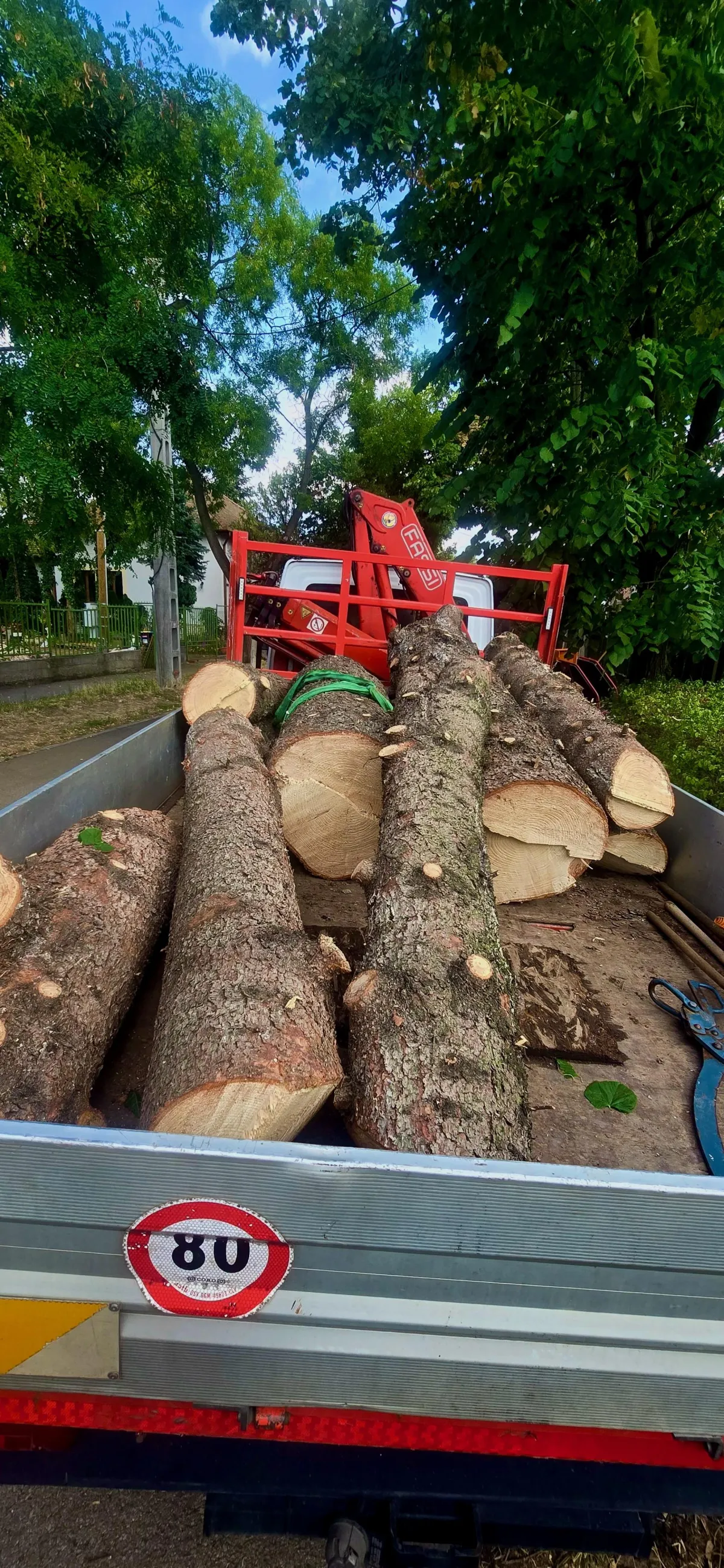 Kivágott fák elszállításra előkészítve, rönkök biztonságos rakodása favágás után