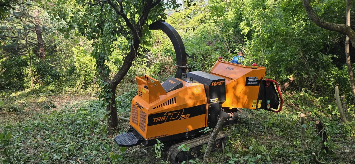 Telektisztítás darálóval, sűrű növényzet és tuskók eltávolítása elhanyagolt területen Pest megyében