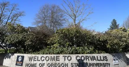 Garden decks and pergola lounges in Corvallis