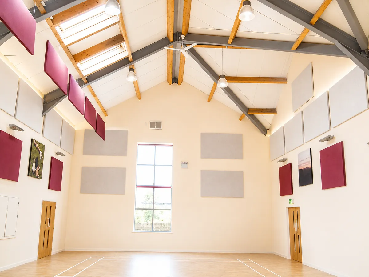 Acoustic panels on the walls and baffles suspended beneath timber beams in a sports hall.