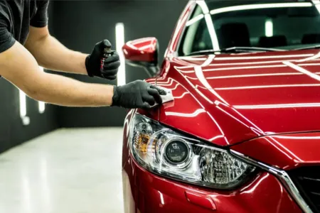 paint protection in Wolfforth