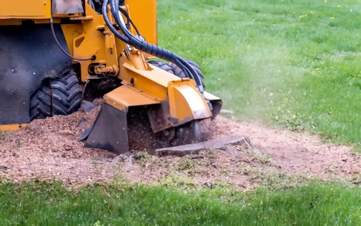 Stump Grinding