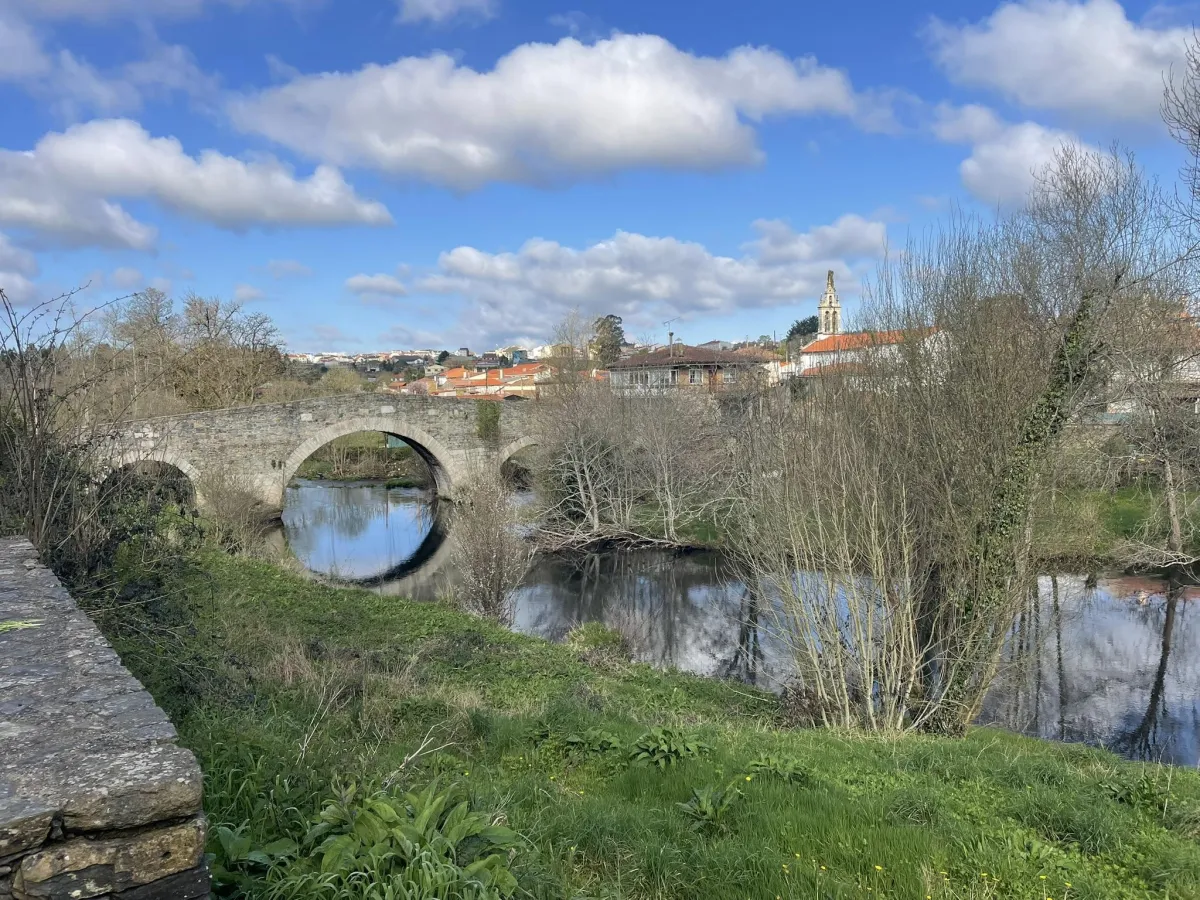 gold buddha figurine on brown rock