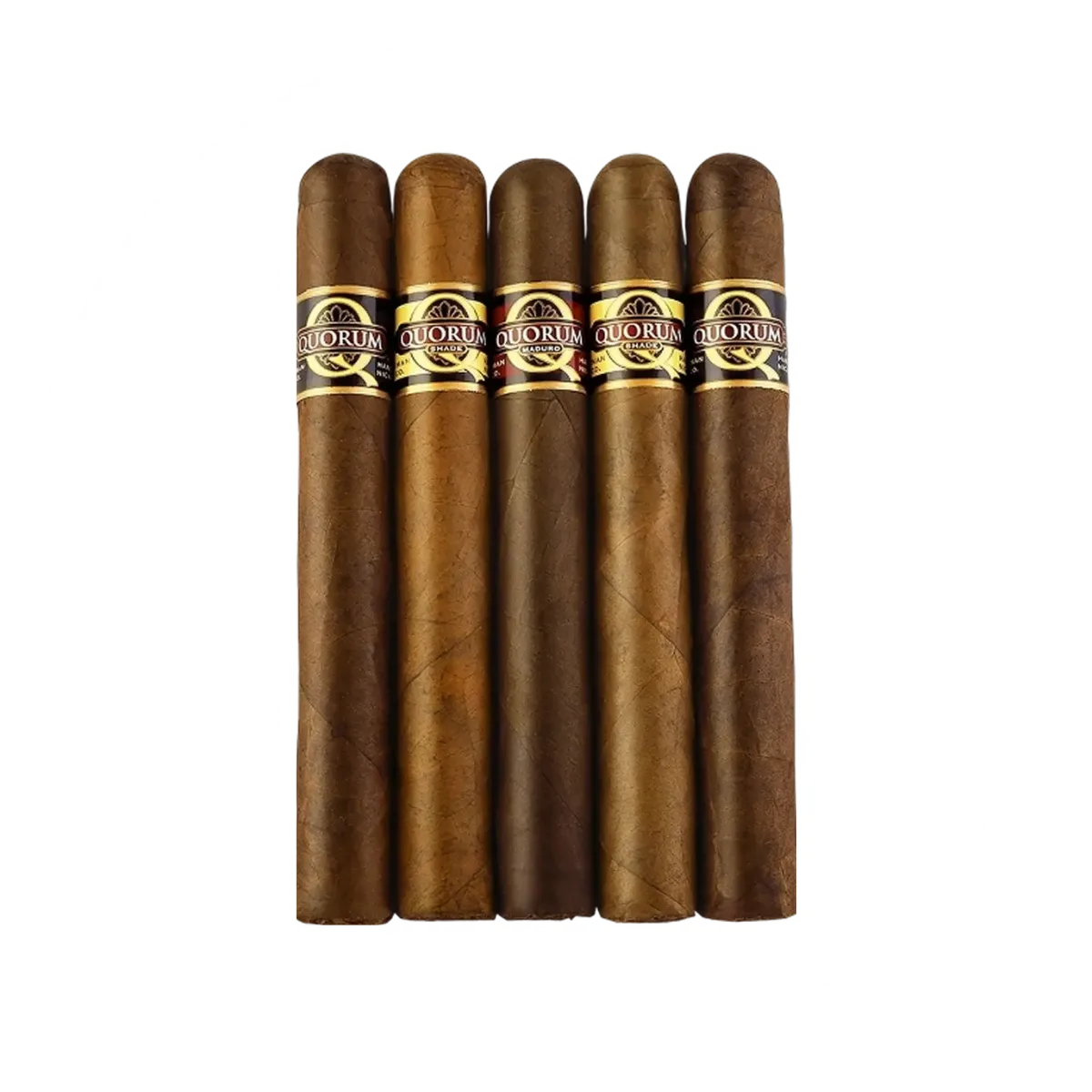Quorum Toro Sampler 5-Pack Cigars | Cobra Smoke Shop