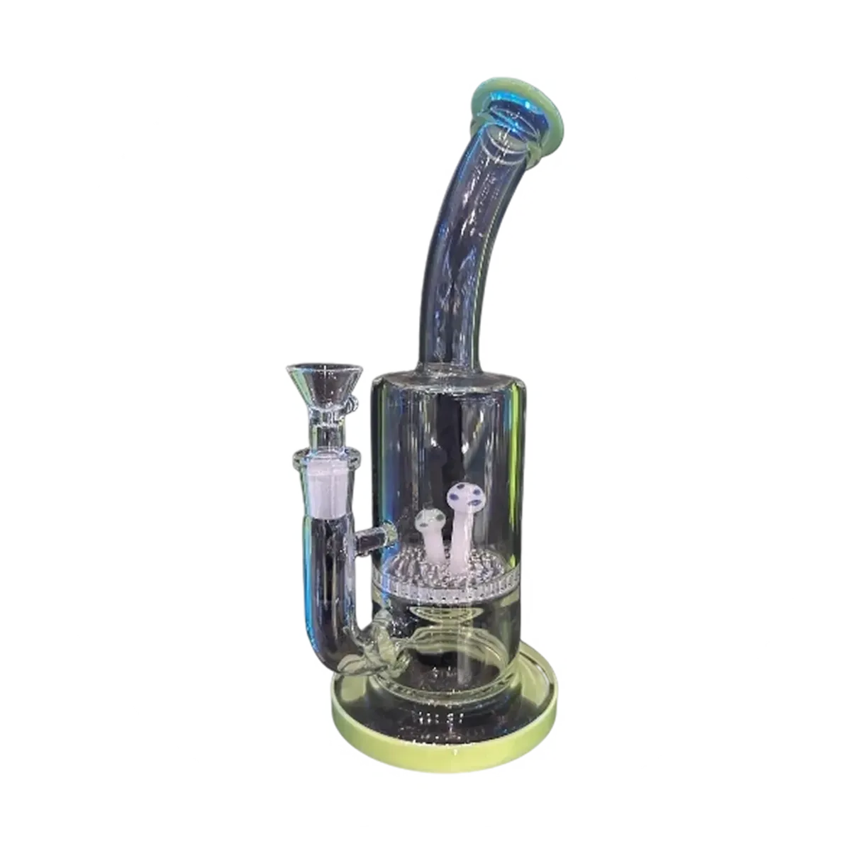 Glass Pipes & Bongs | Cobra Smoke Shop