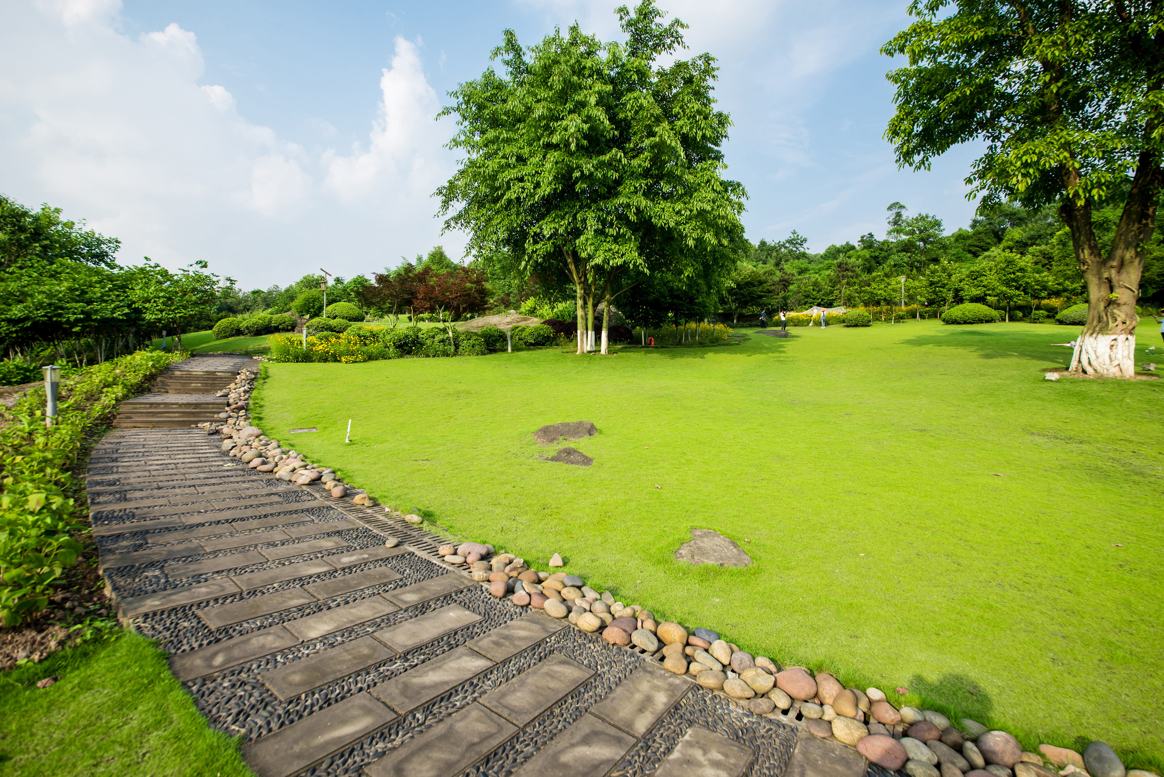 Residential landscape design and installation service with custom pathways and lawn layout