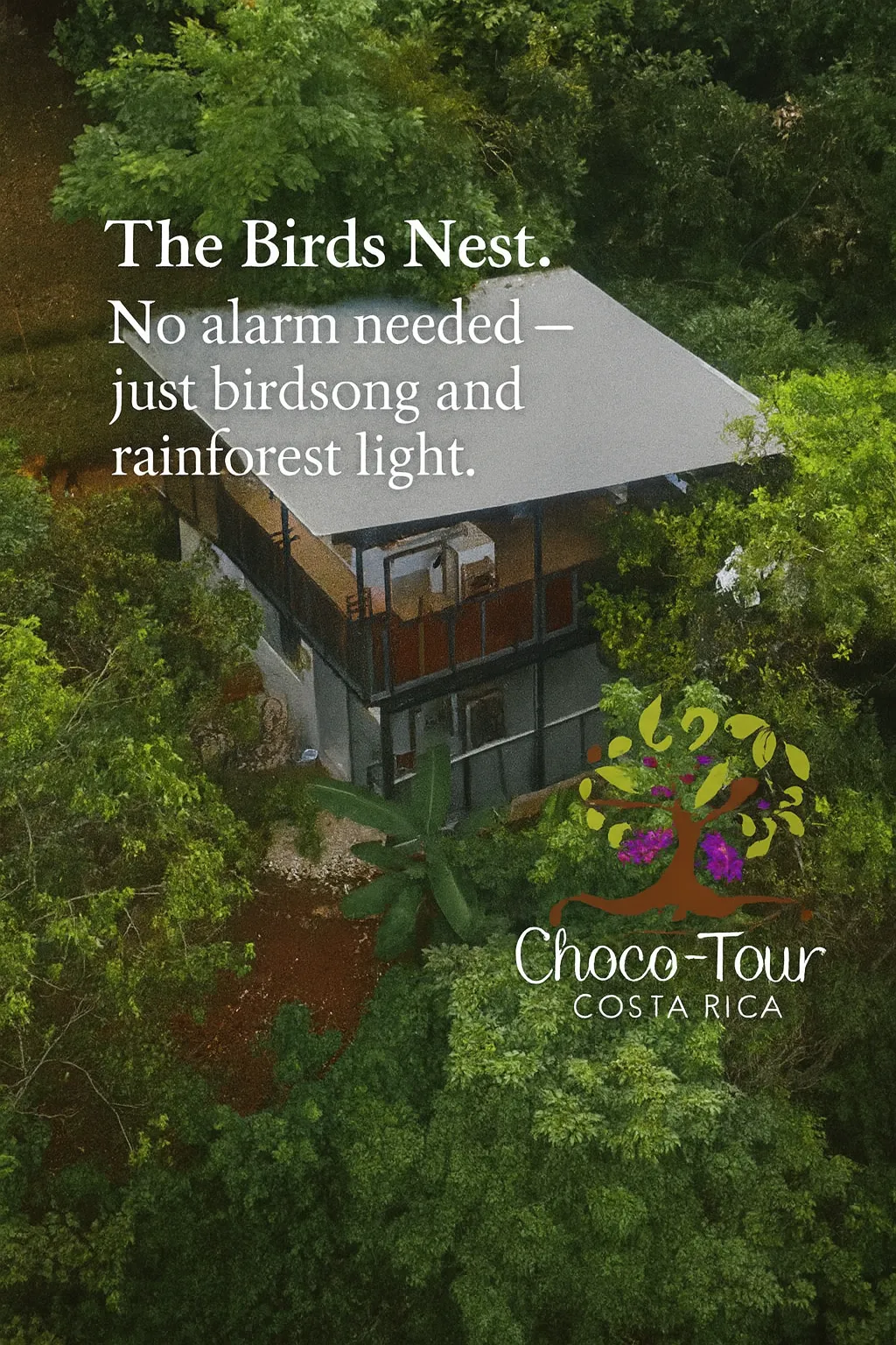Choco Tour The Birds Nest