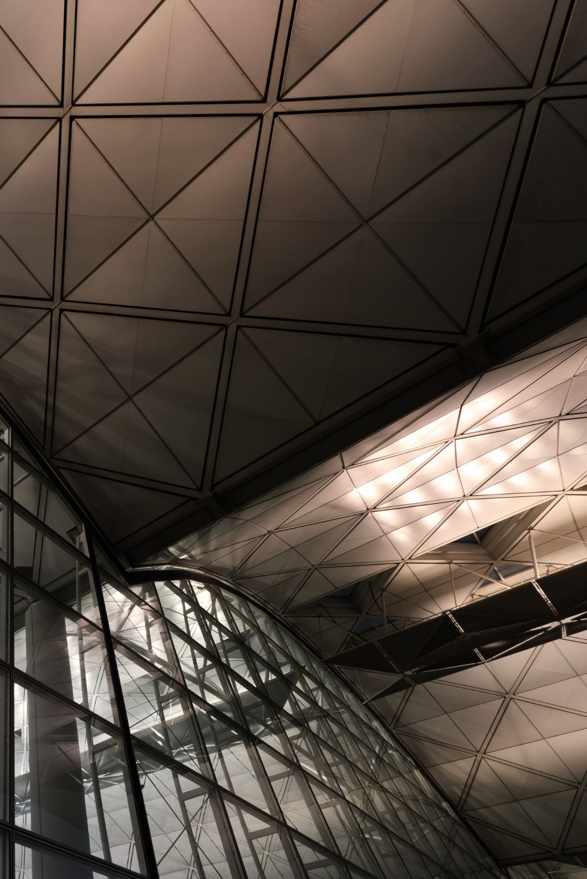 Danielle Vincent Projects