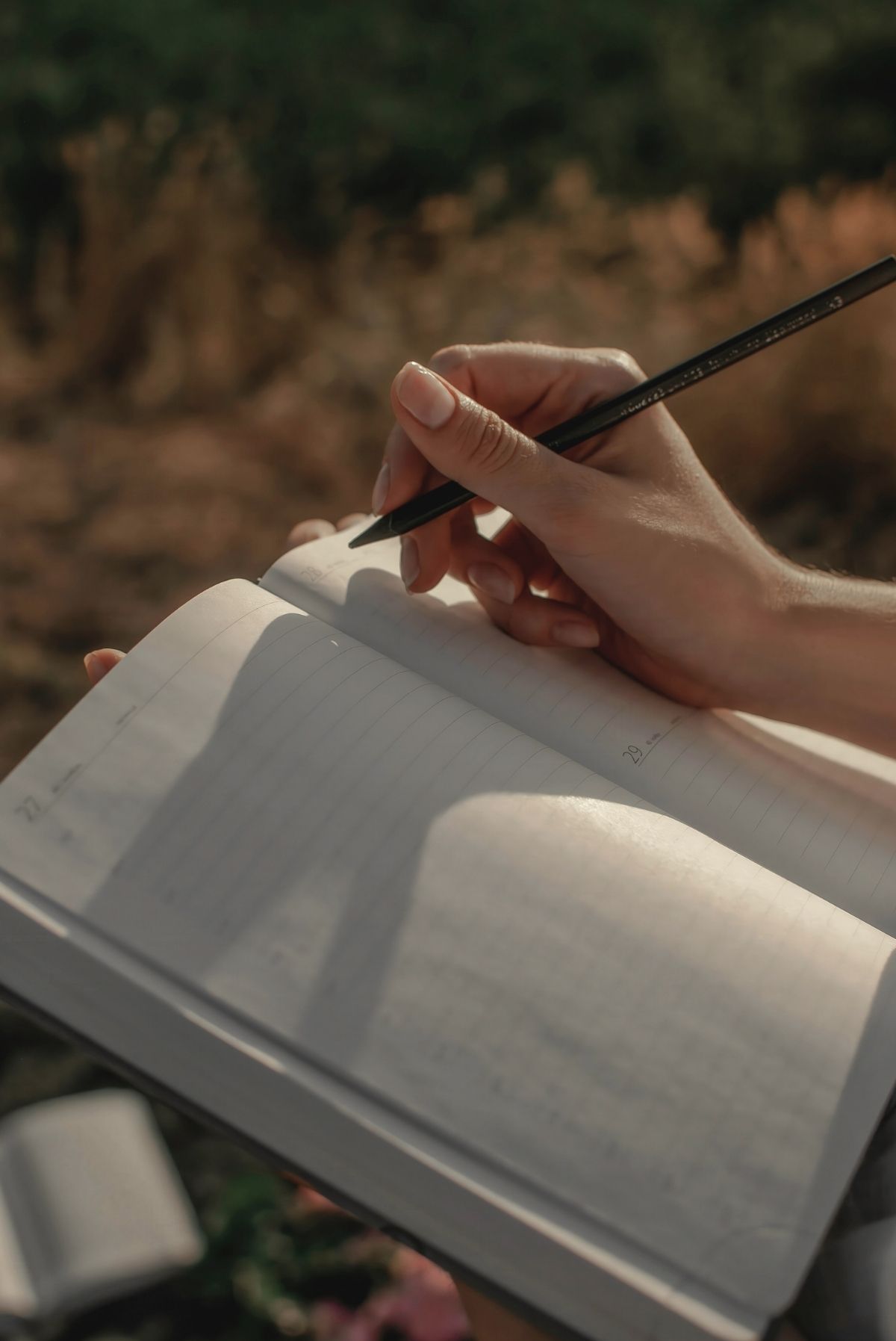 Danielle Vincent Projects