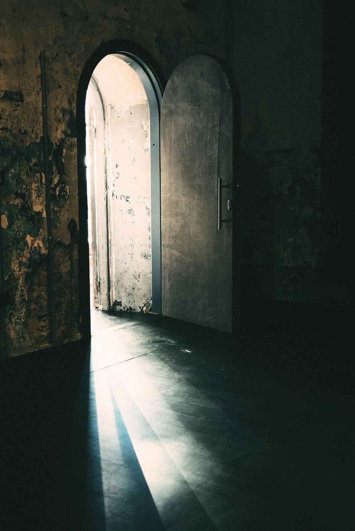 Danielle Vincent Projects