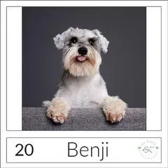Pet portrait of Bella