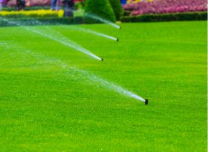 Green front lawn in Andover maintained by LN Landscaping & Irrigation