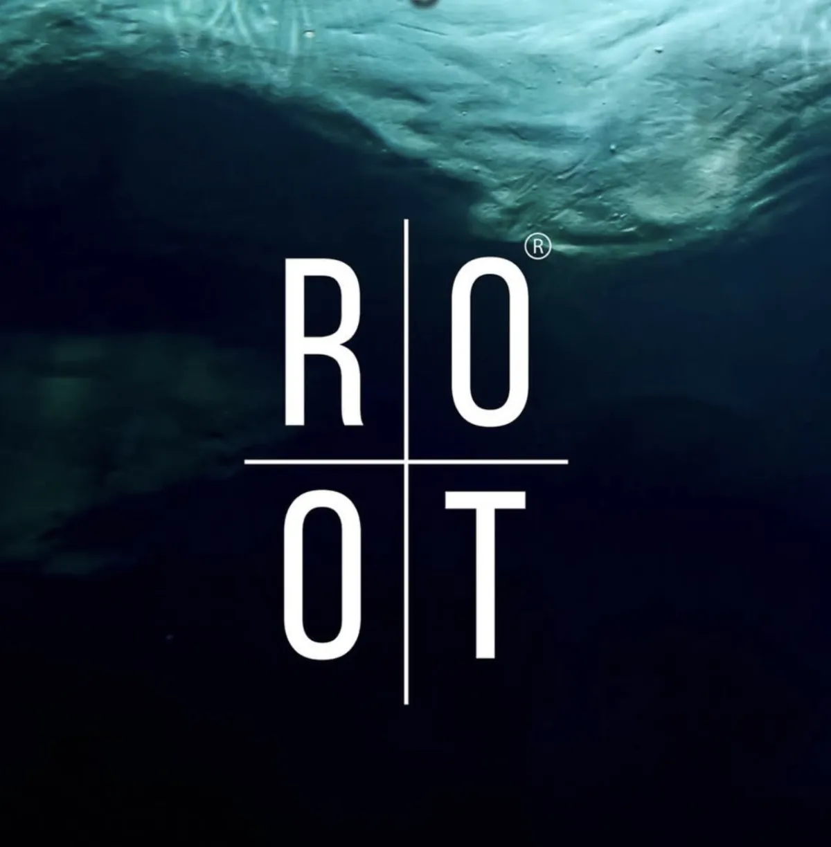 ROOT Wellness Logo vor tiefblauem Wasserhintergrund – Natürliche Lösungen für ganzheitliches Wohlbefinden.