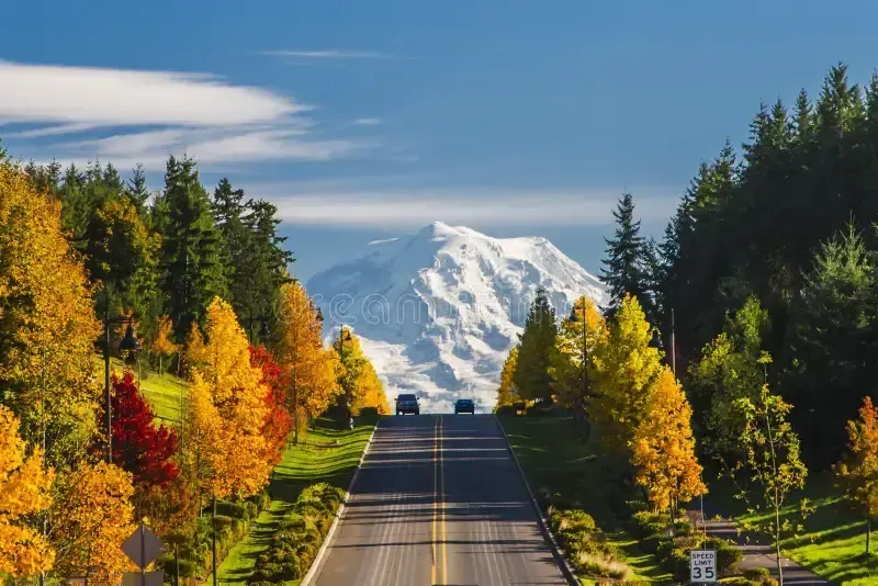 Bonney Lake, Washington Interior Painting