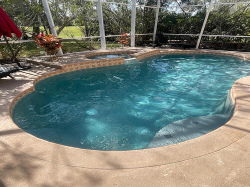 Pool Tile Cleaning Tampa, FL