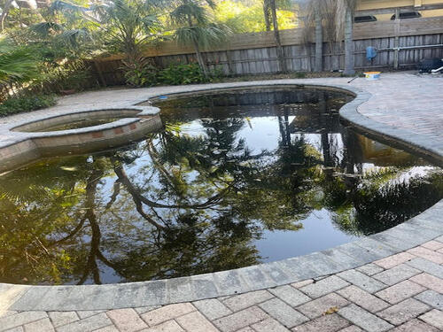 Weekly Pool Cleaning Tampa, FL