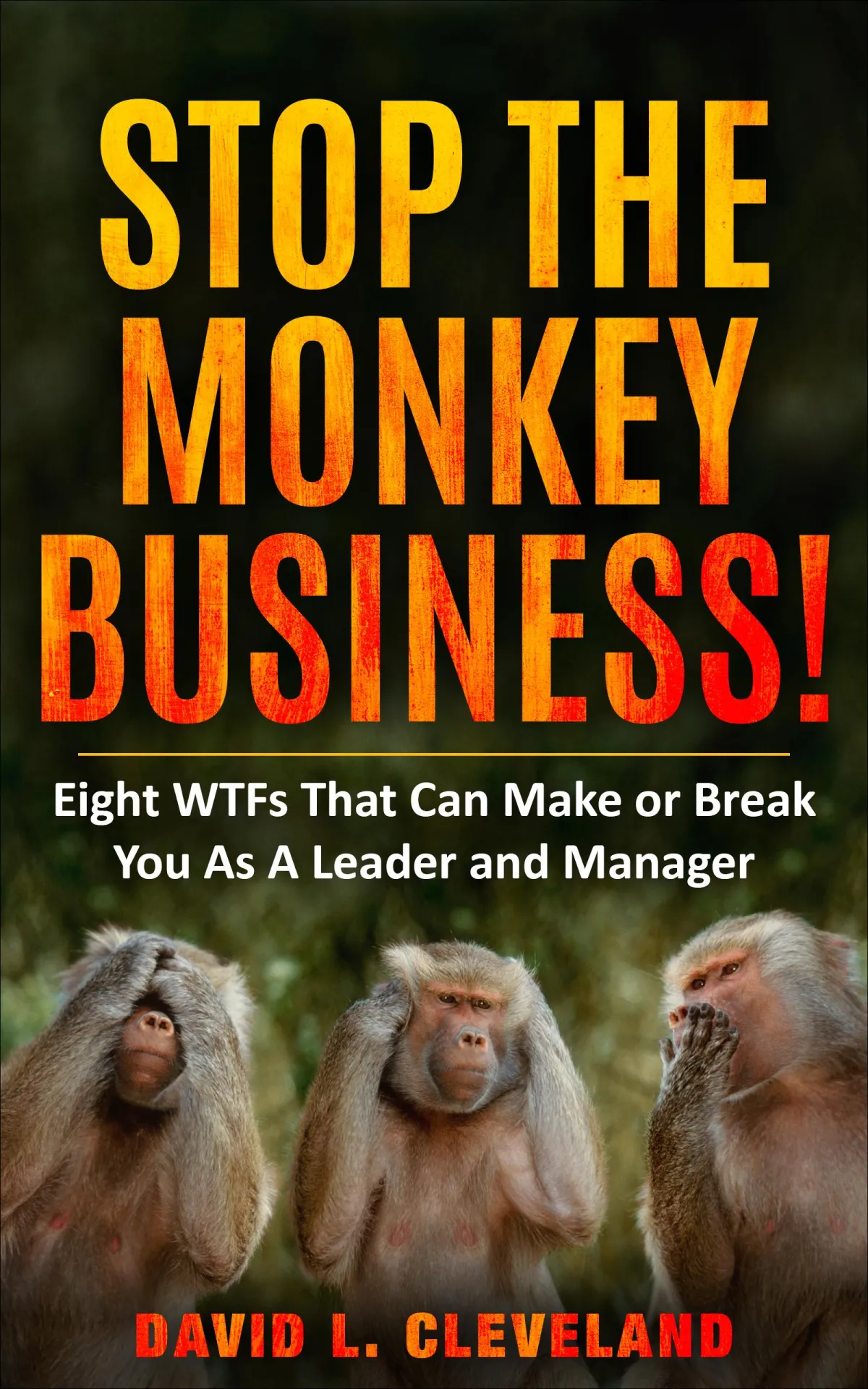 Stop The Monkey Business by David L. Cleveland _ Spotlight Publishing House