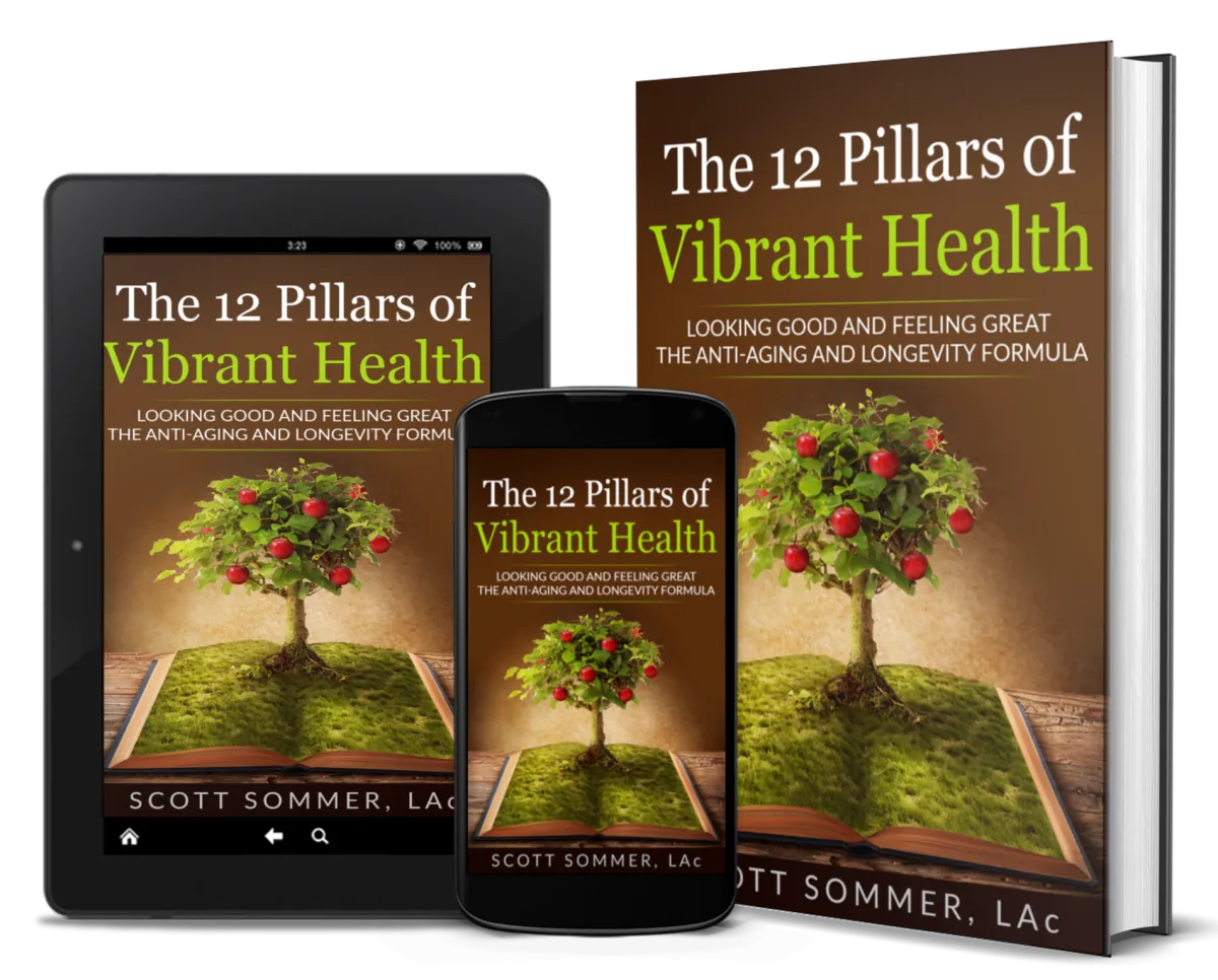 Scott Sommer- The 12 Pillars of Vibrant Health