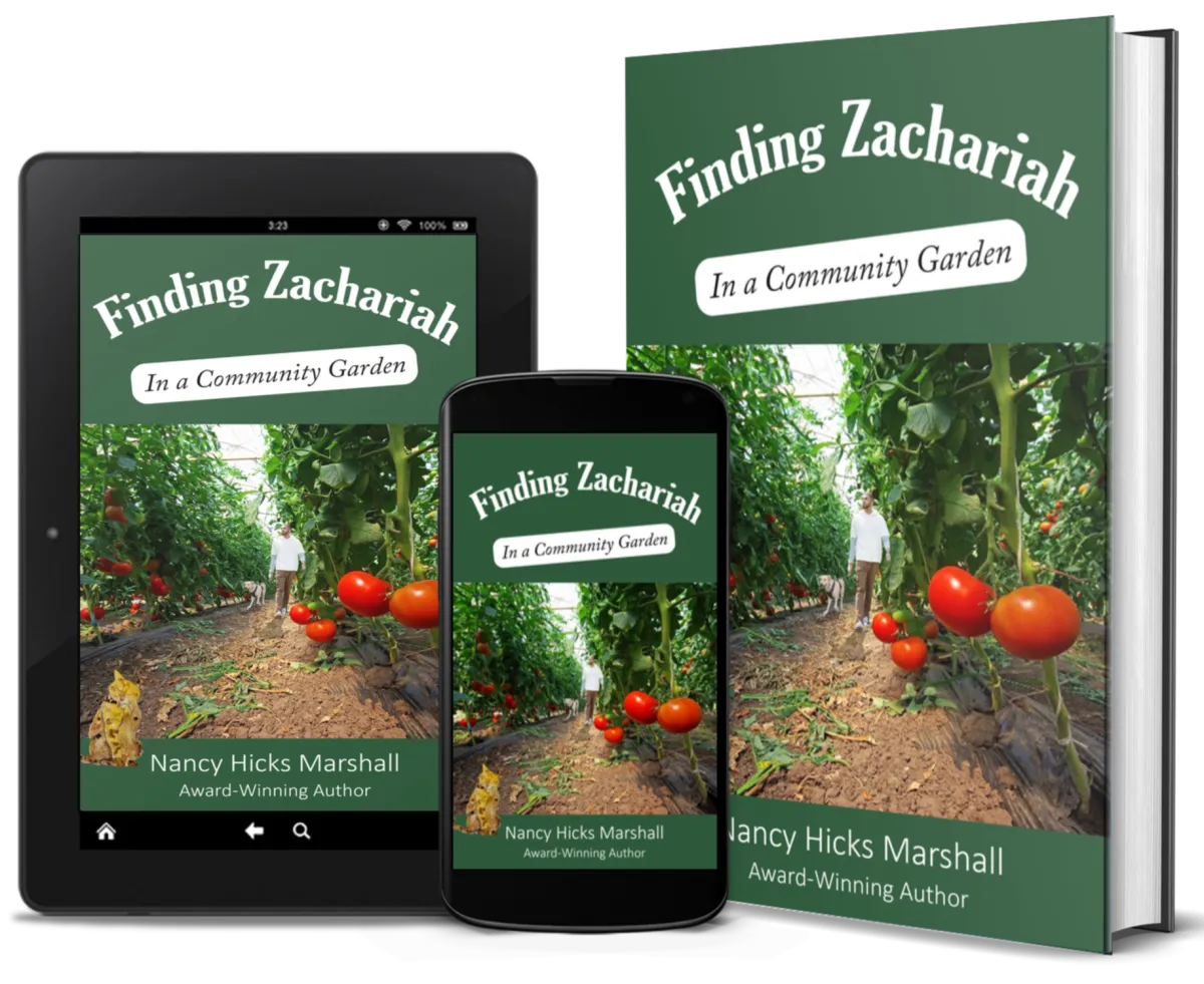 Finding Zachariah - Nancy Hicks Marshall