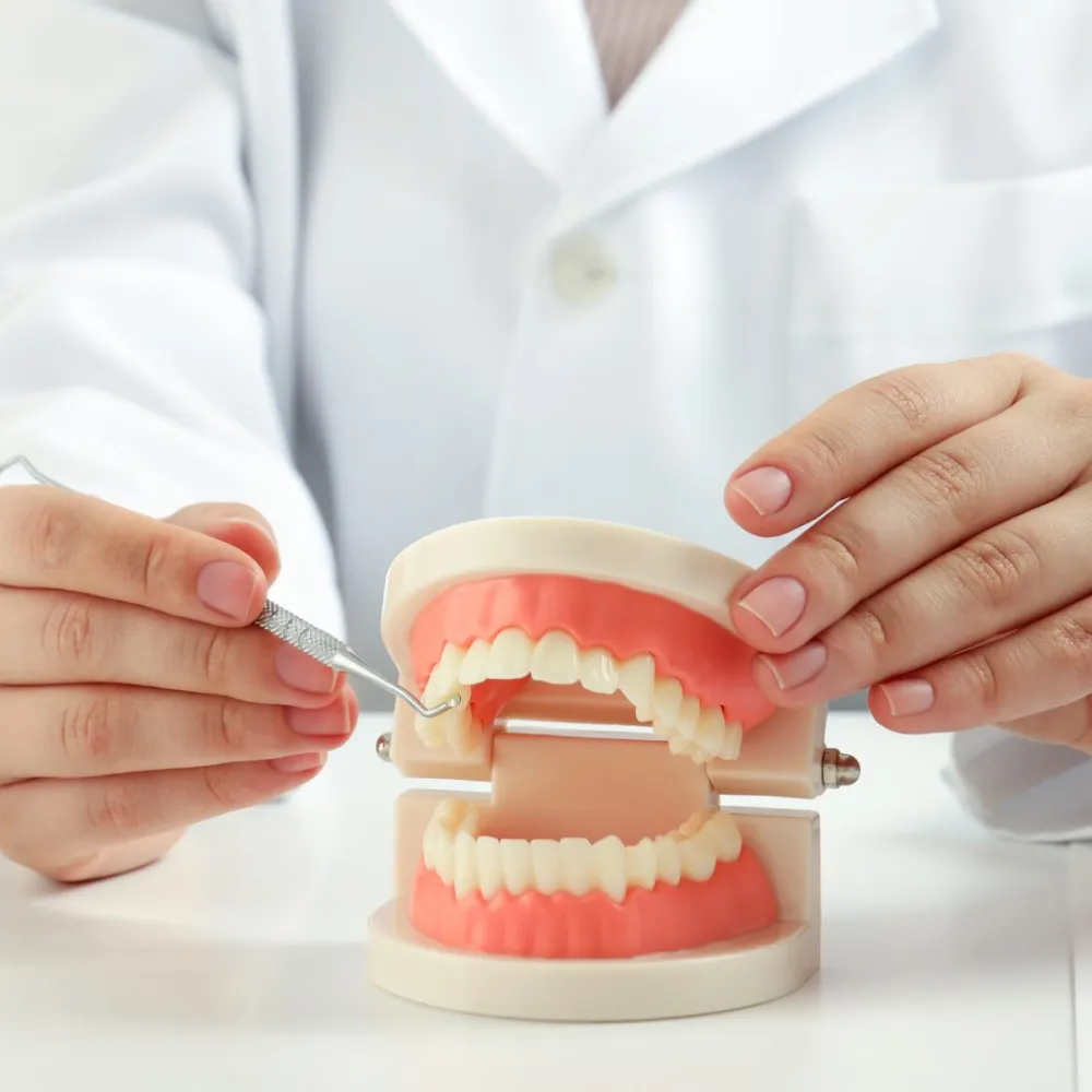 Supports Jawbone Health