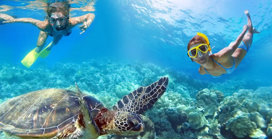 Snorkling in St. Thomas VI