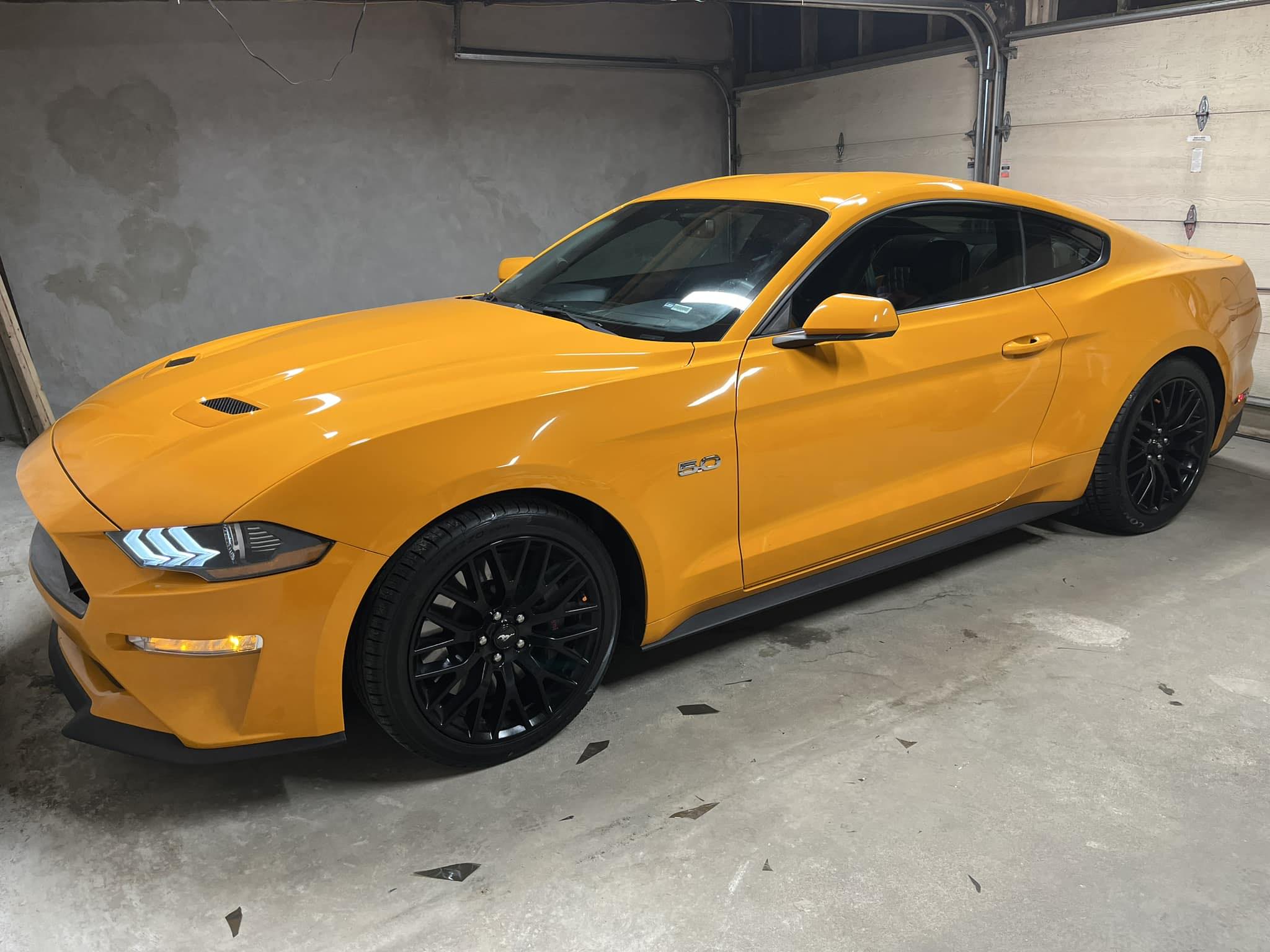 Fresh Tint Installation in Holden, MA