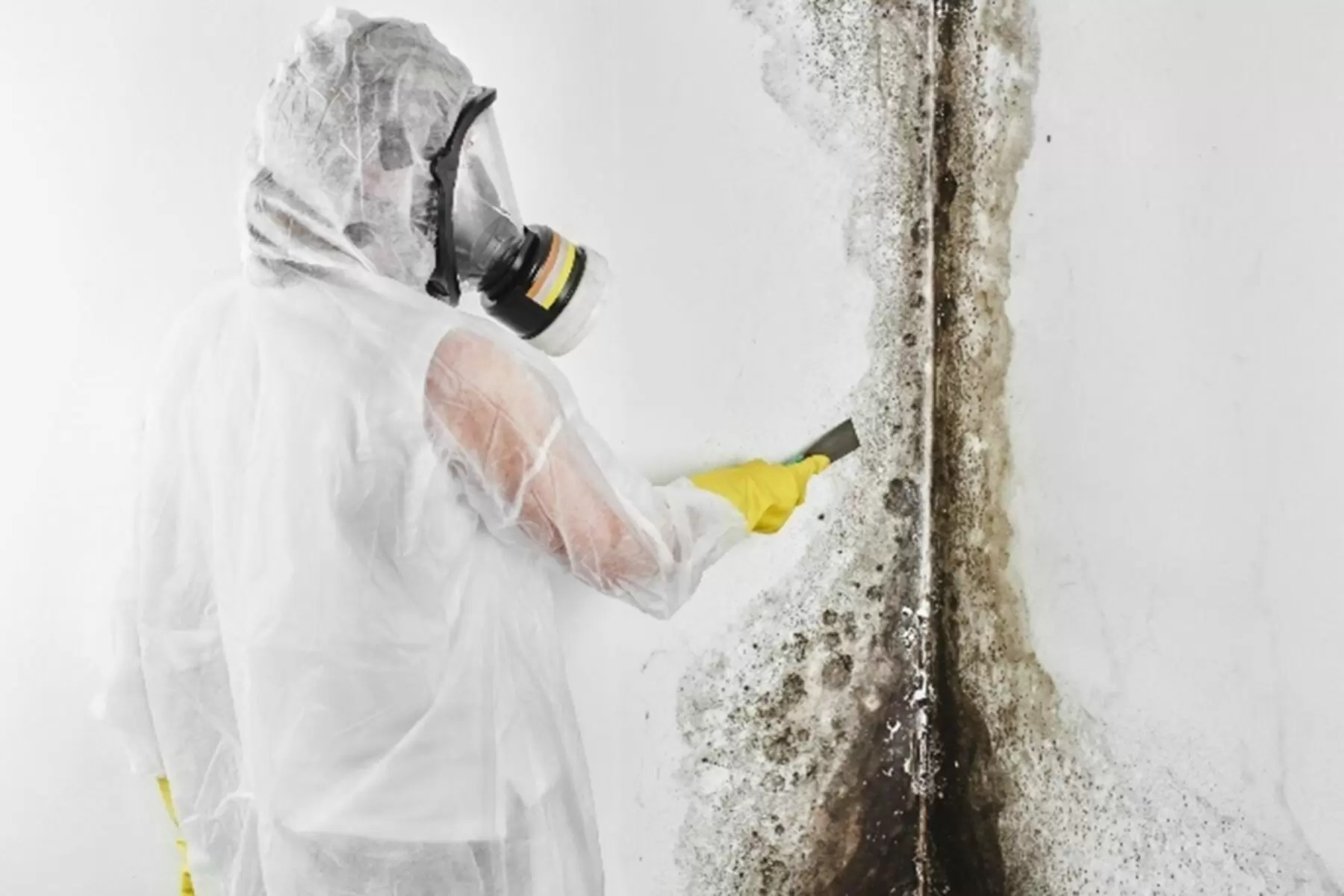  Water Damage Restoration