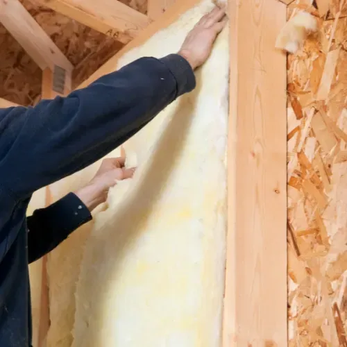 Insulation Removal