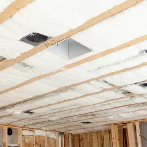 Attic Insulation Removal