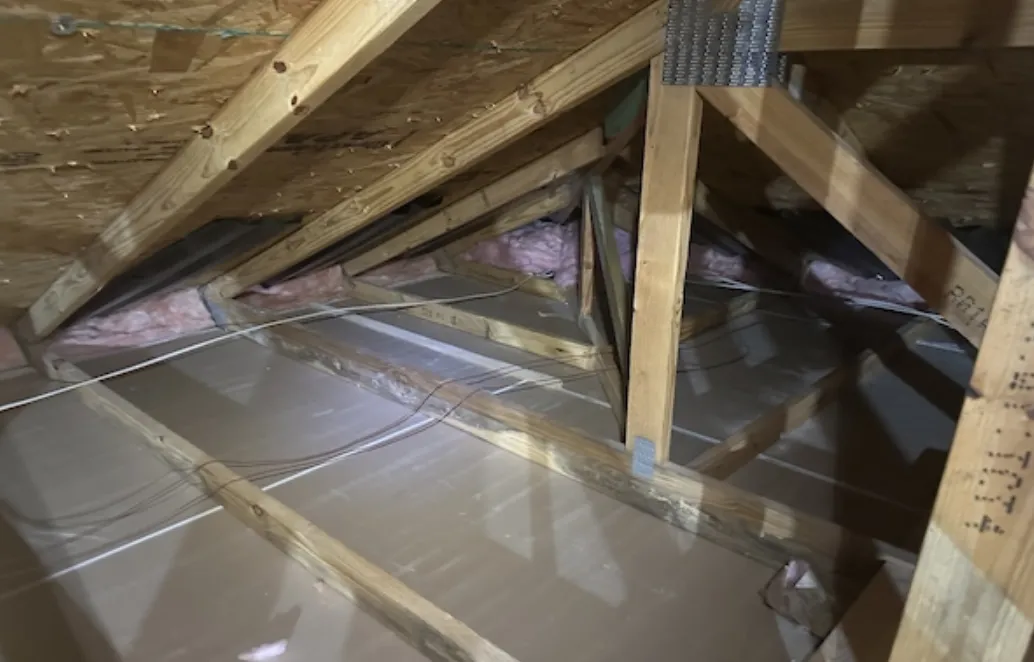 Signs Your Attic Insulation Needs Removal, Not a Top Up