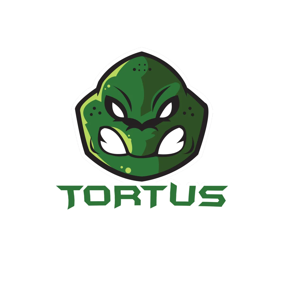 Tortus Software Solutions