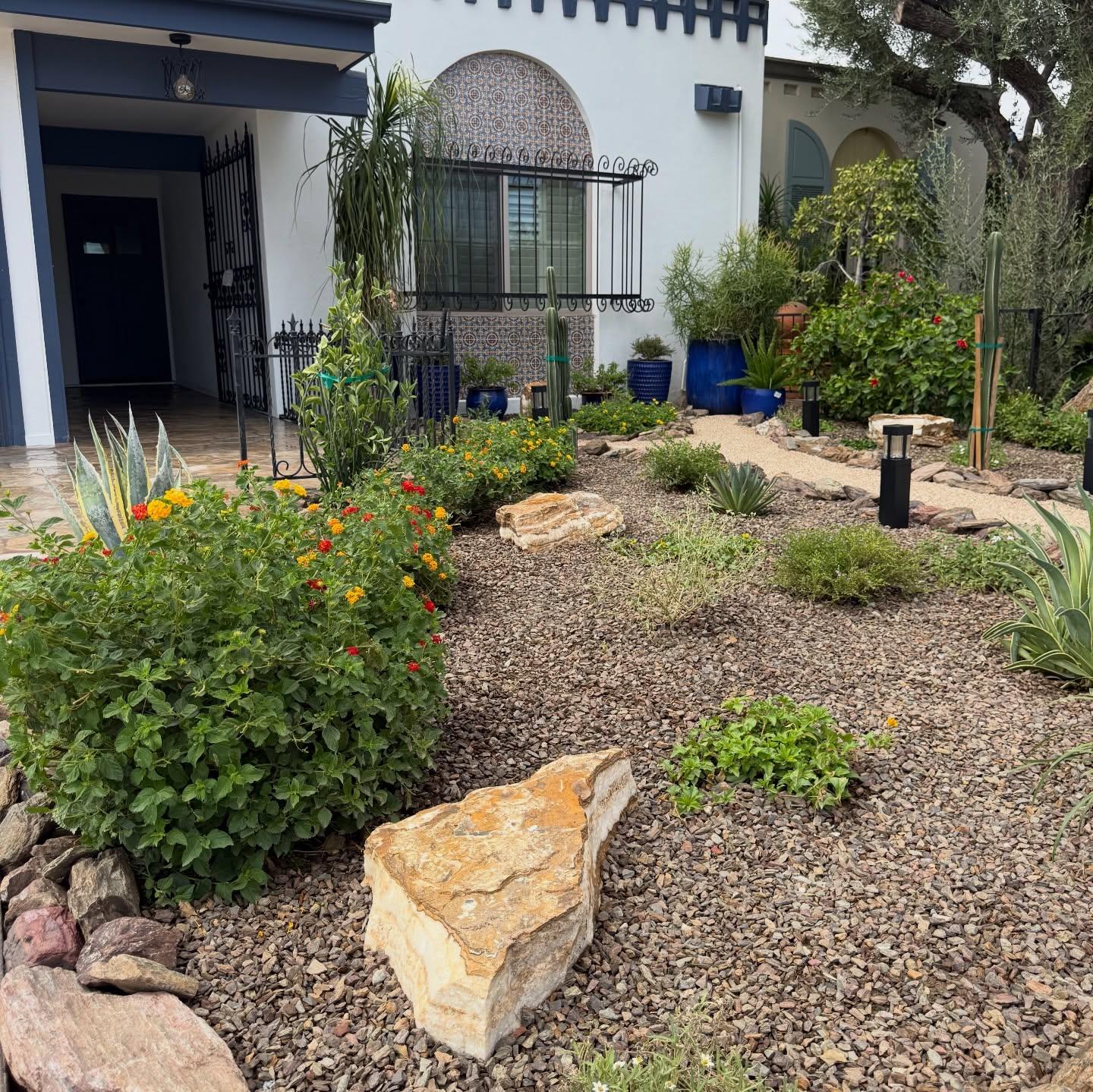 Flagship front yard: arched entry, agave, lantana, cacti, blue accent pots , AZ Elevate