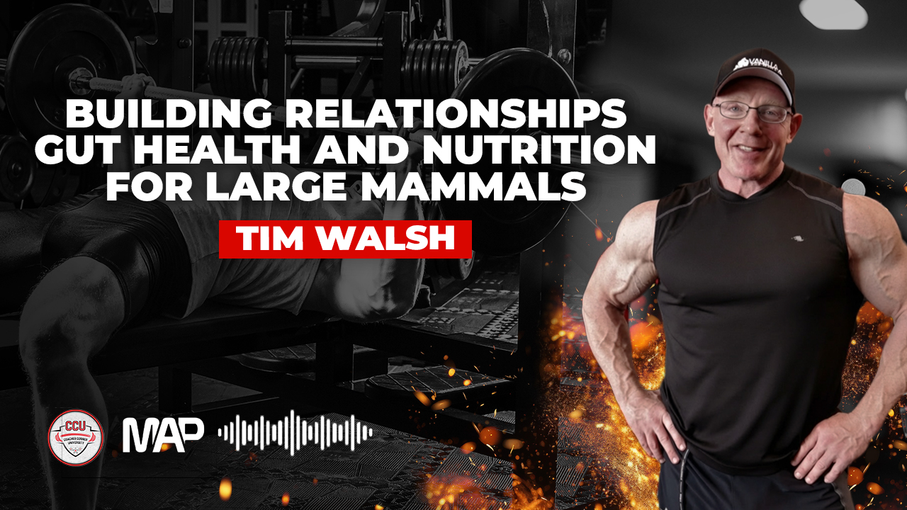 Tim Walsh