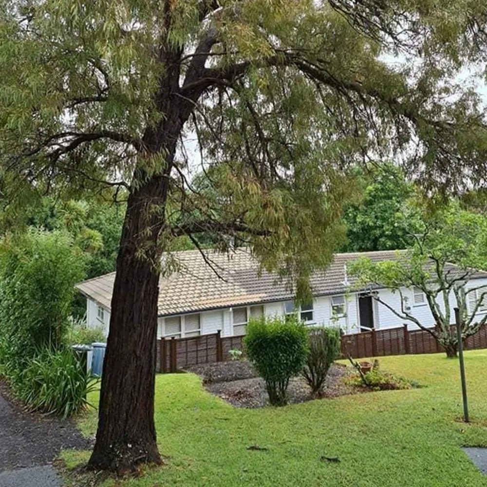 emergency tree removal storm damage Auckland