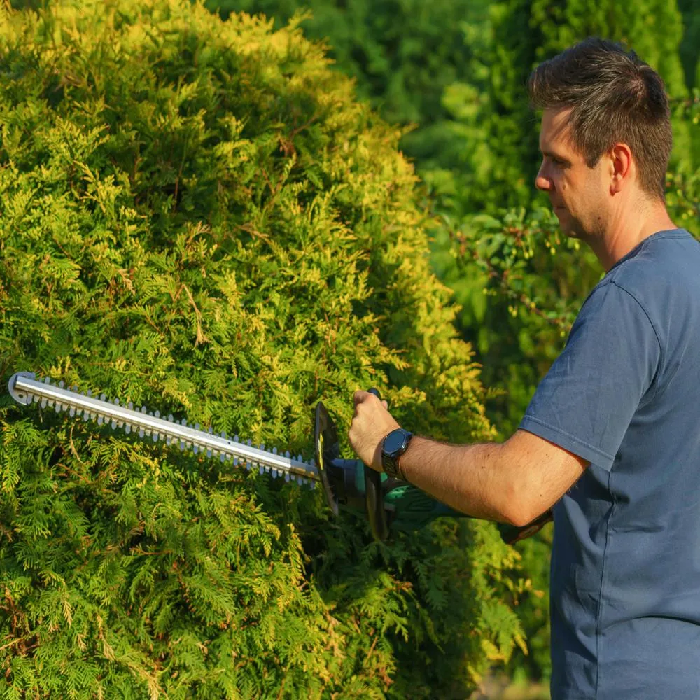 hedge trimming and shaping Auckland
