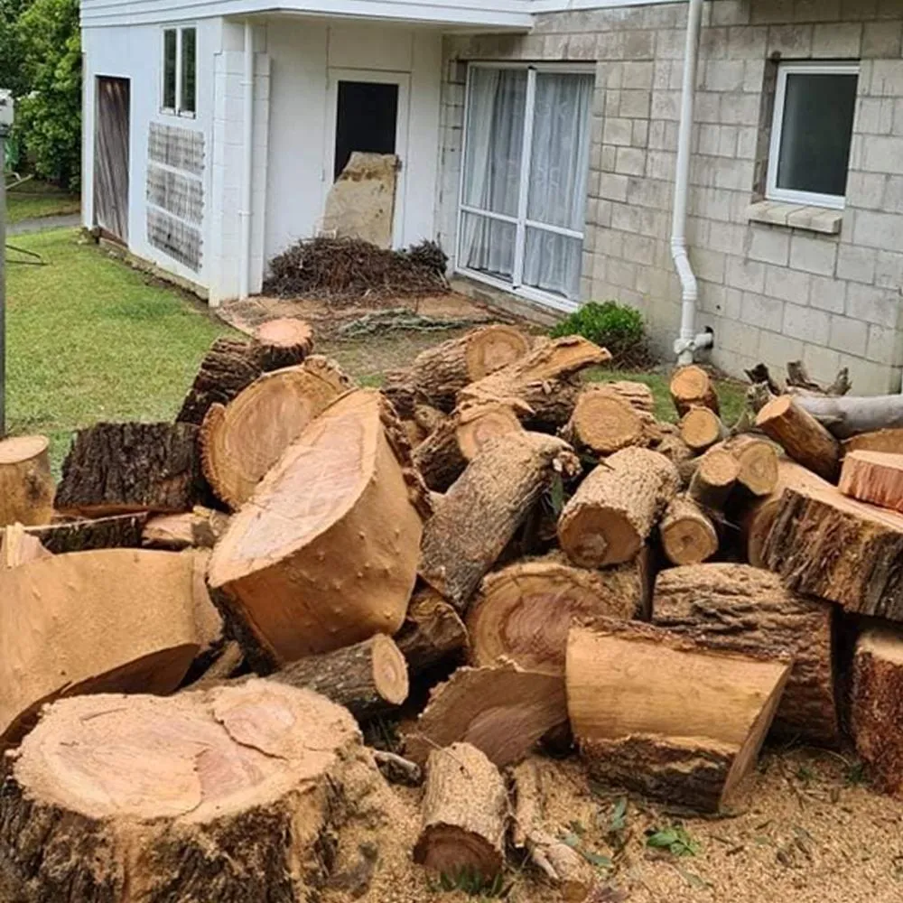 Auckland tree removal and cutting service