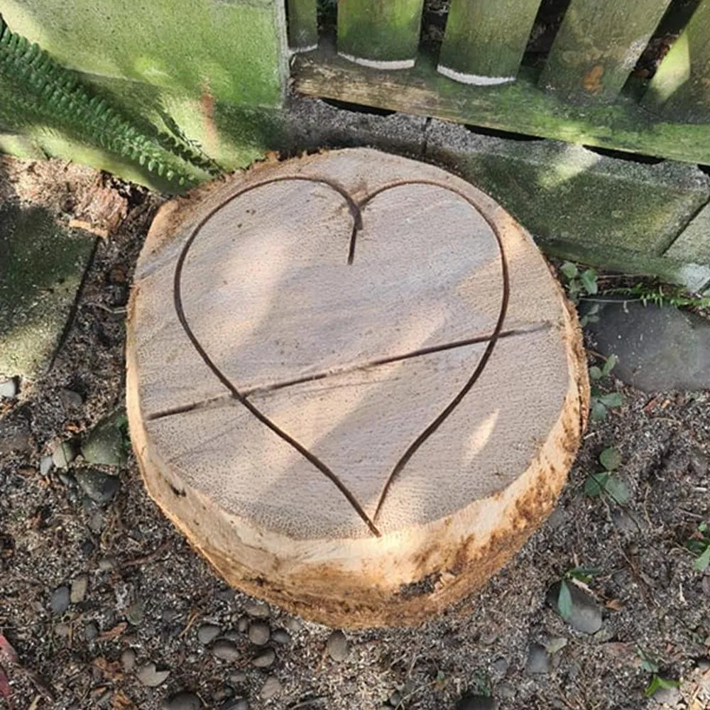 stump grinding service Auckland backyard