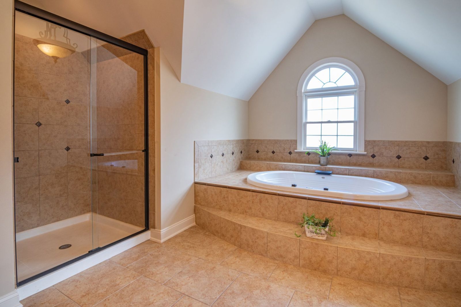 Moving Services Plano