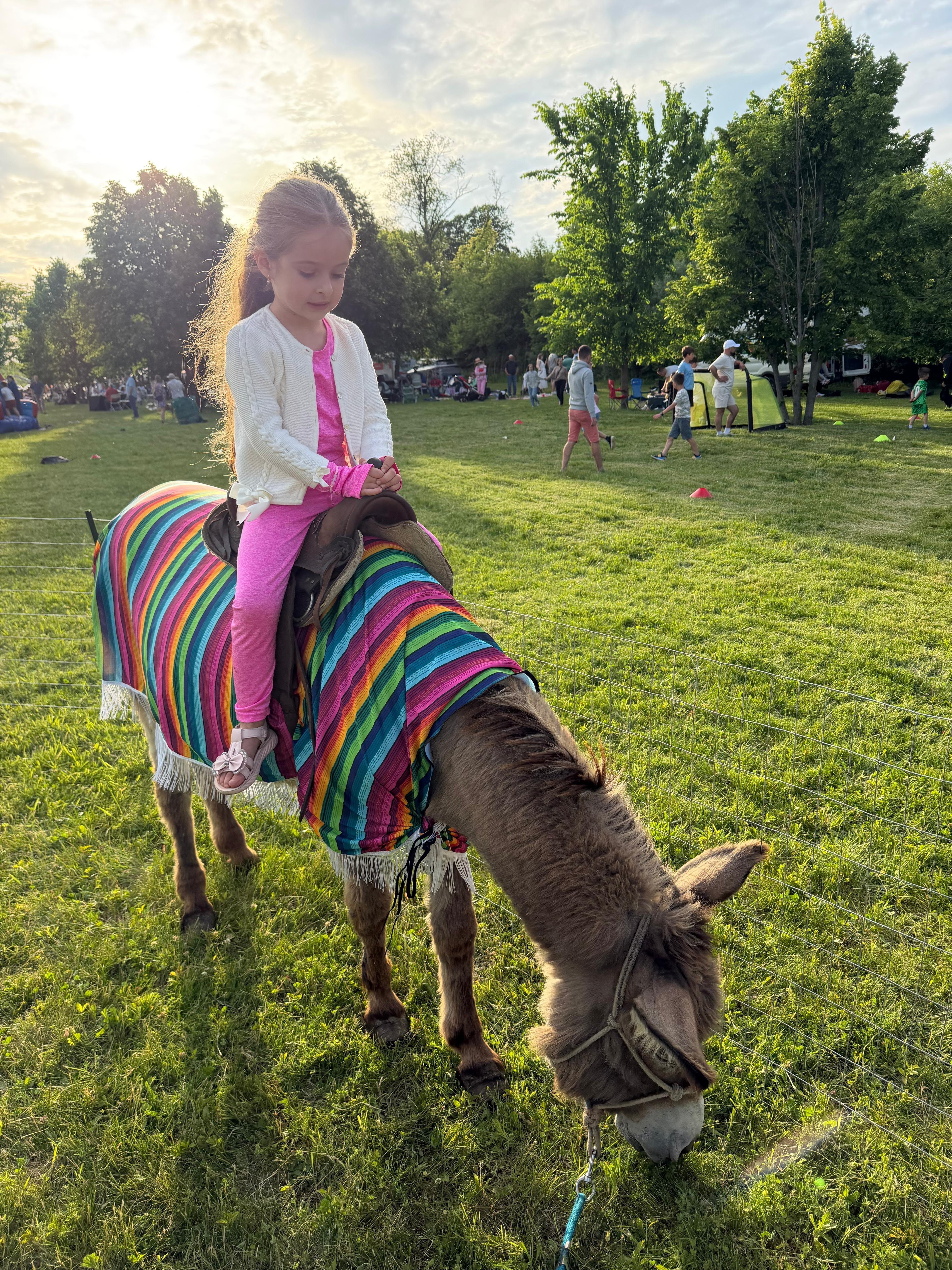 Close shot of little girl on a donkey.