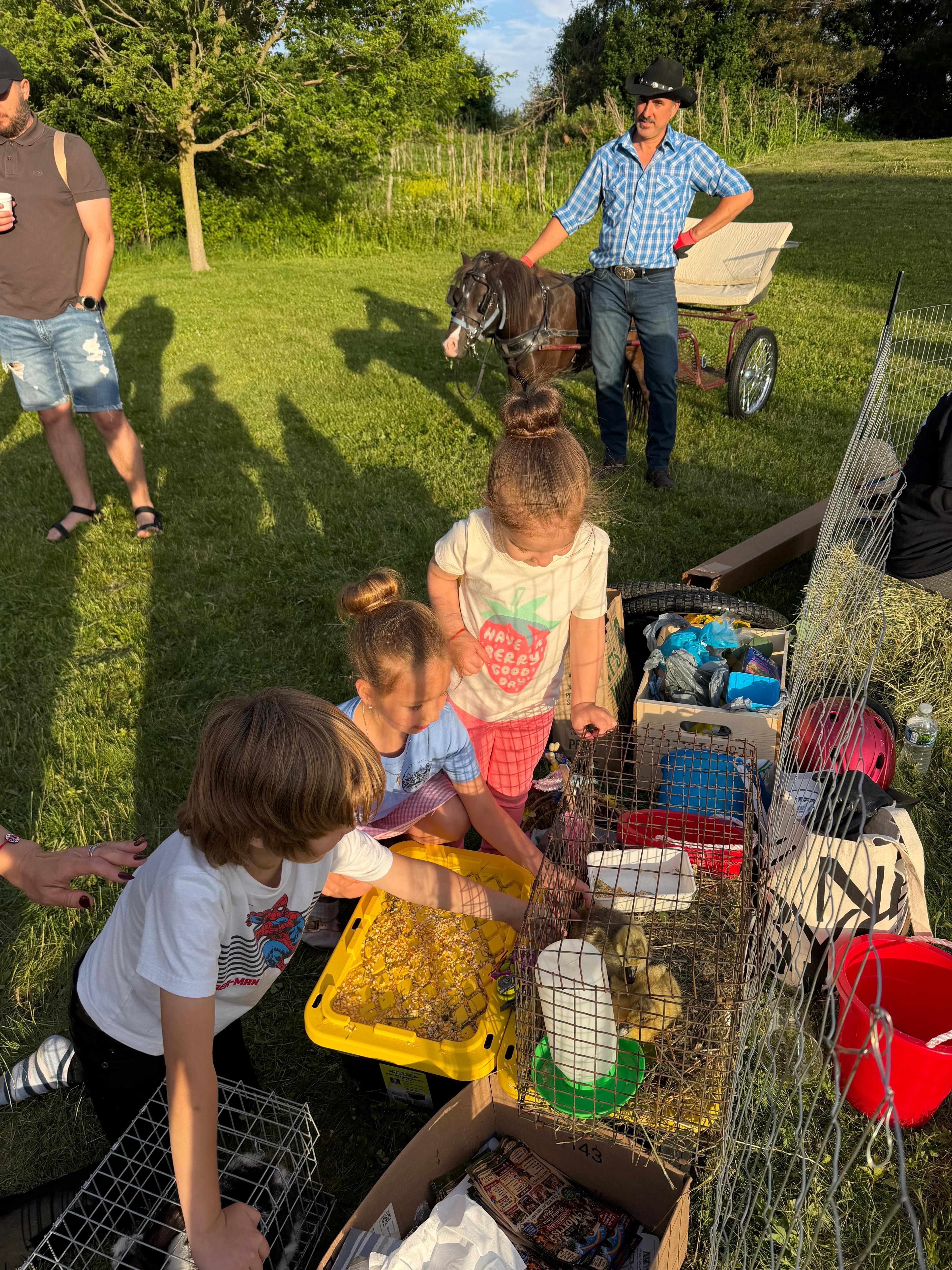 Close up of group of kids at the petting farm of chickens and rabbits